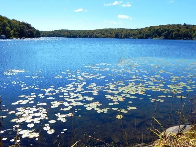1 of 1 - Tennanah Lake Road, Roscoe, NY