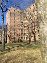 1 of 1 - 1563 Metropolitan Avenue # 1b, Bronx, NY