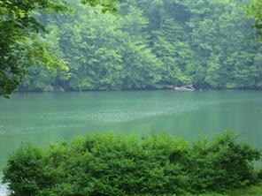 1 of 1 - 74 Macgregor Drive, Mahopac, NY