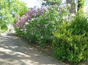1 of 1 - 6 Brook St., Suffern, NY
