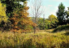 1 of 1 - 155 Elise Drive, Middletown, NY