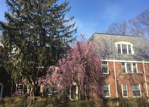 1 of 1 - 64 Pinewood Road 1f, Hartsdale, NY