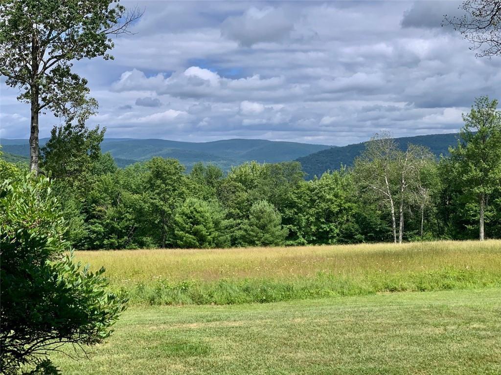 1 of 1 - 505 Beech Hill Ridge Road, Andes, NY