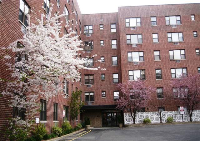 1 of 1 - 77 Carpenter Avenue # 1 B, Mount Kisco, NY