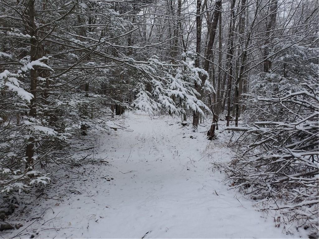 1 of 1 - 131 Taylor Road, Mountain Dale, NY