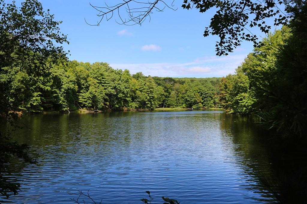 1 of 1 - 231 Franke Road, Huguenot, NY