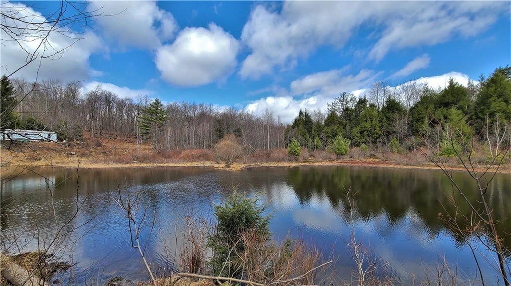 1 of 1 - 537 Tanzman Road, Parksville, NY