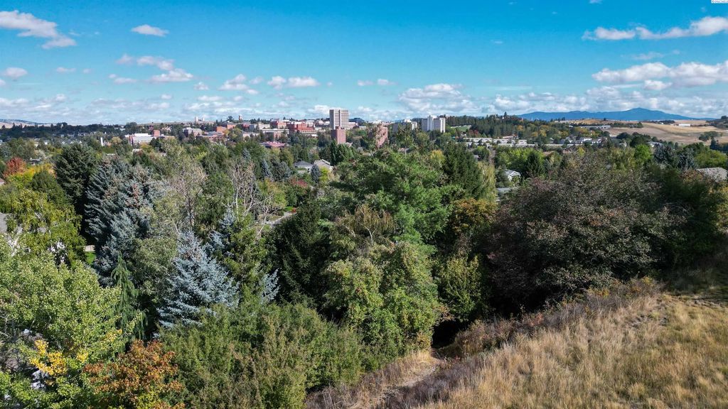 620 Se Crestview Dr, Pullman