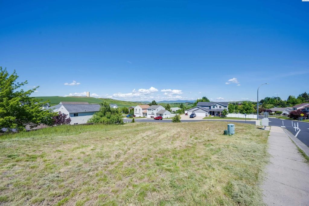 440 Nw Terre View Dr, Pullman