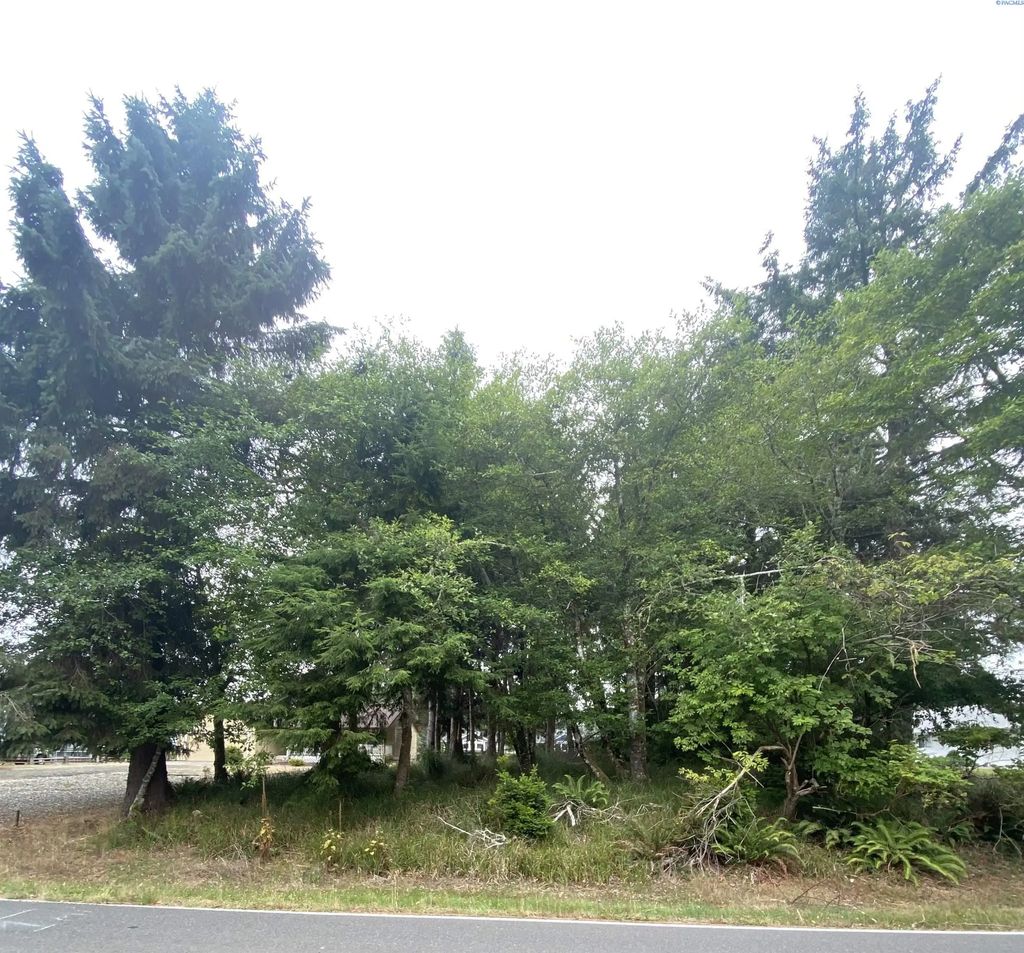135 Duck Lake Dr Ne, Ocean Shores
