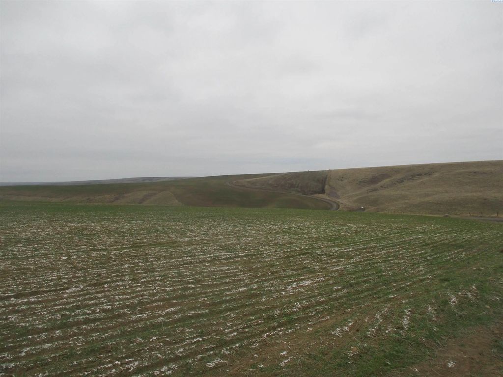 Nka Rice Road, Kahlotus