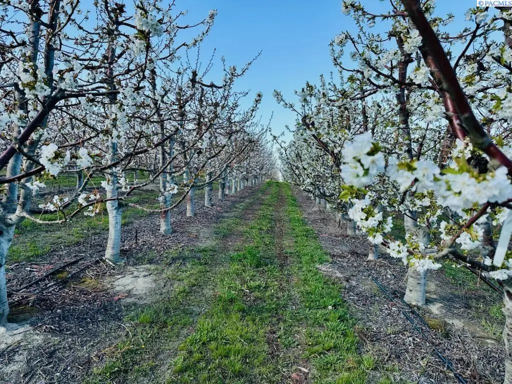 Tbd E Terril, Kennewick
