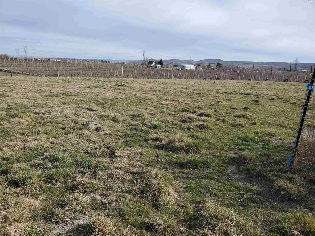 Nkn Dekker Rd, Outlook