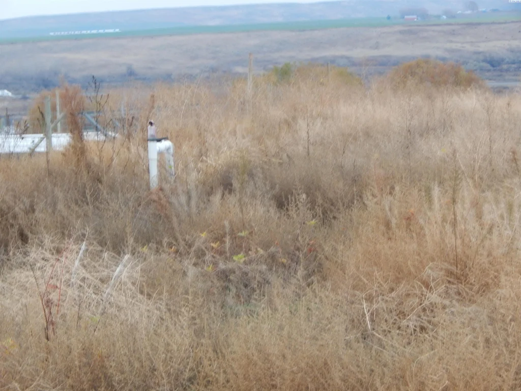 Kna Rebecca Rd, Eltopia