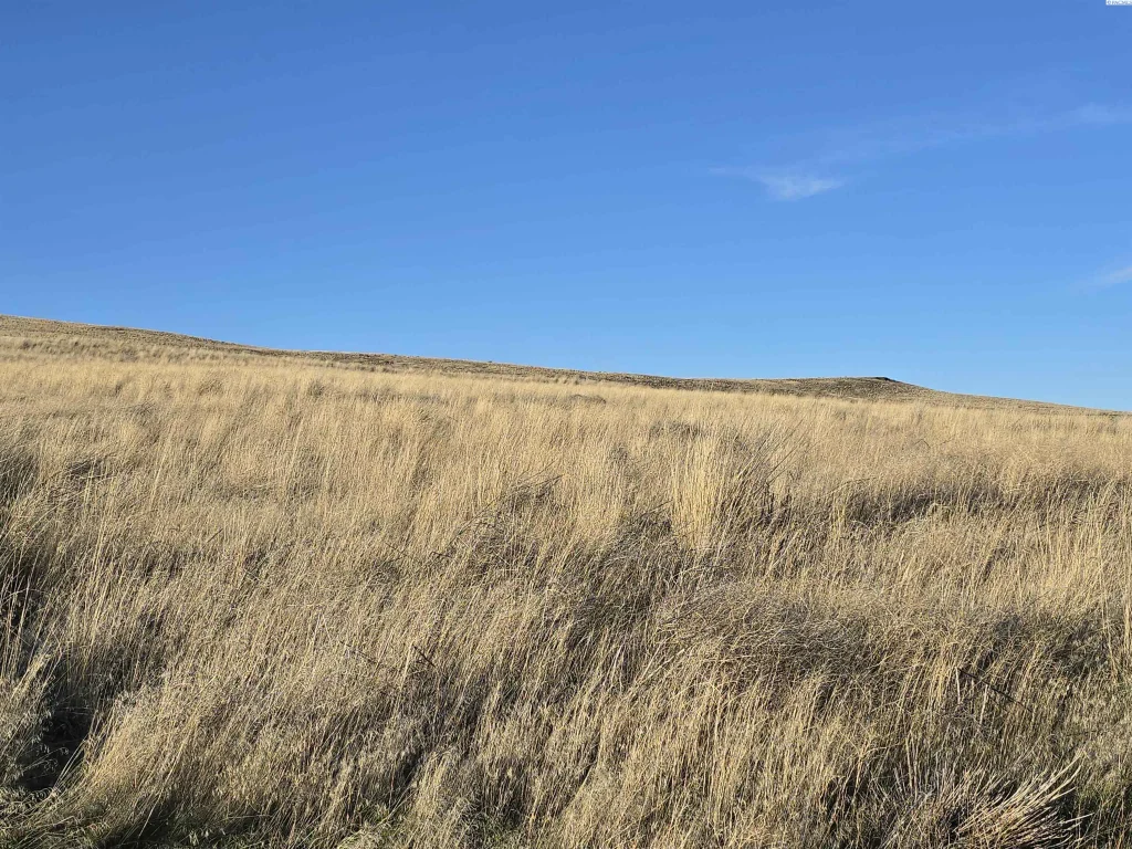 15286 Mabton Bickleton Rd, Mabton