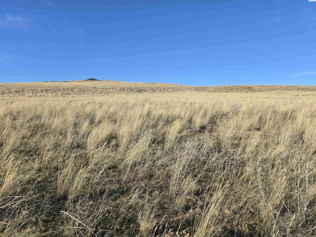 15287 Mabton Bickleton Rd, Mabton