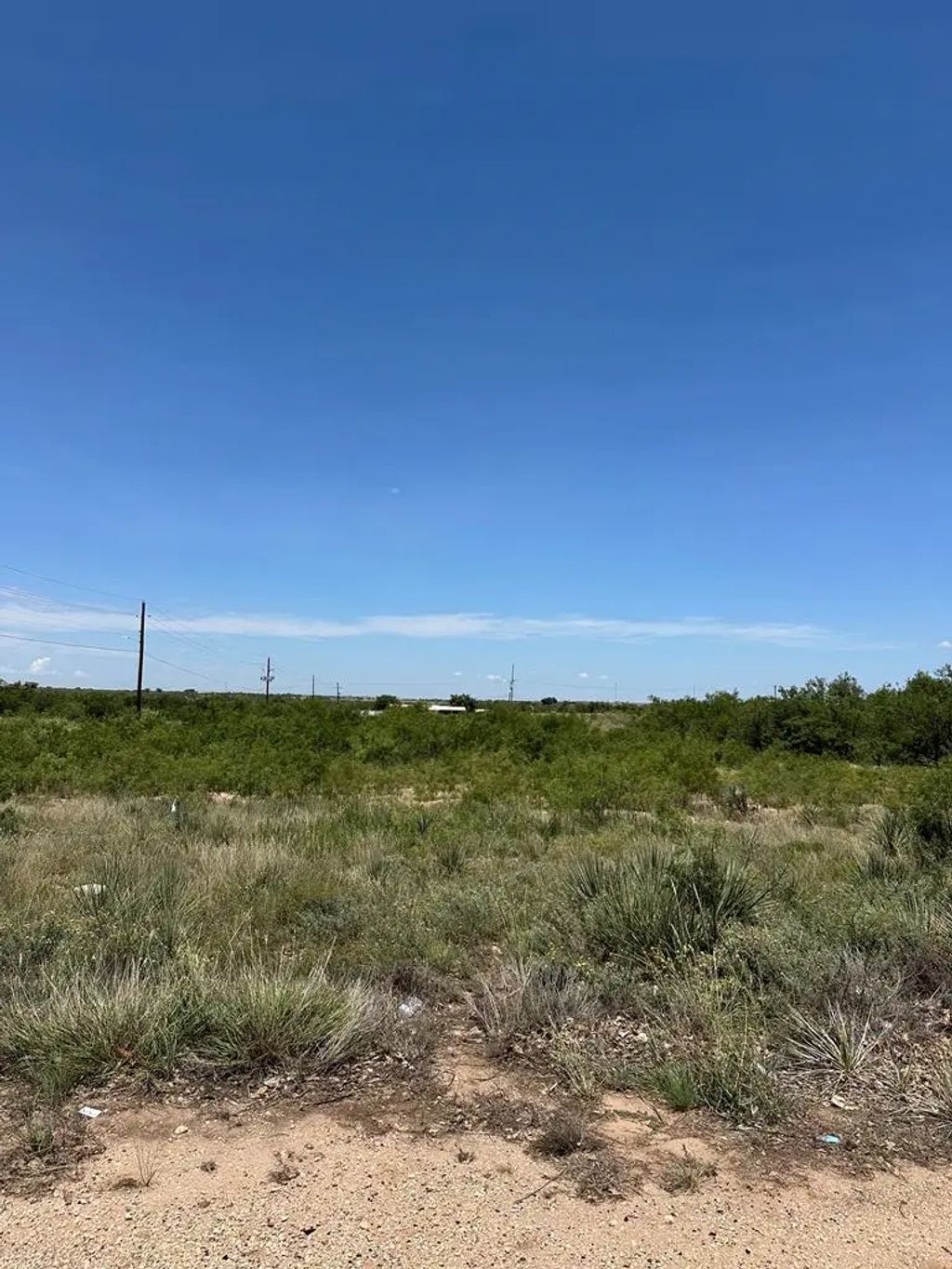 Houston, Snyder