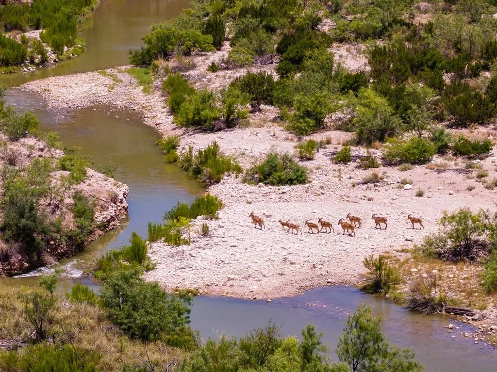 4200 County Rd 411, Ozona