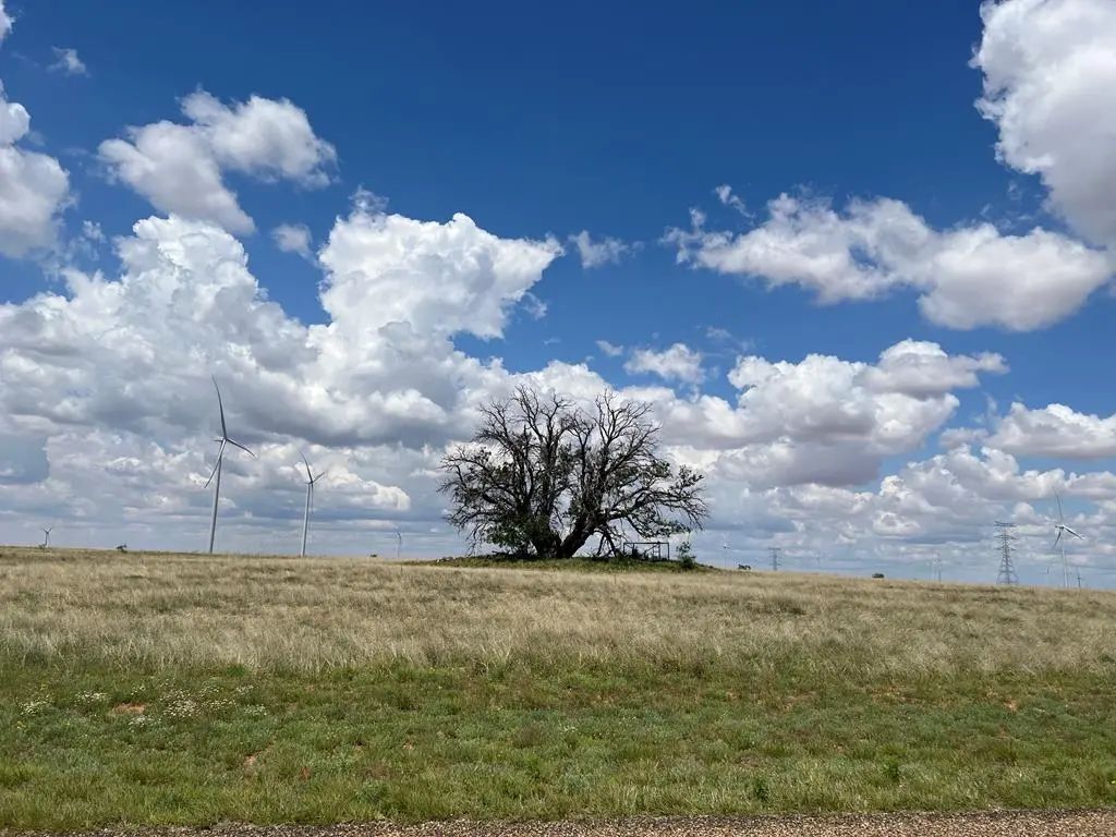 Round Top Road, Snyder