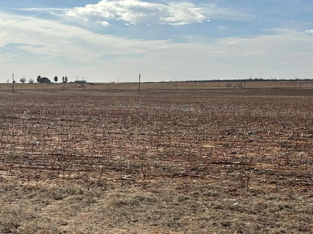 County Rd 216, Colorado City