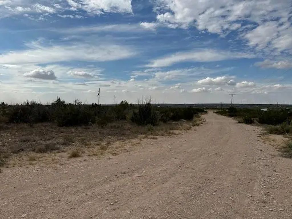 Tbd Brian Rd, Forsan