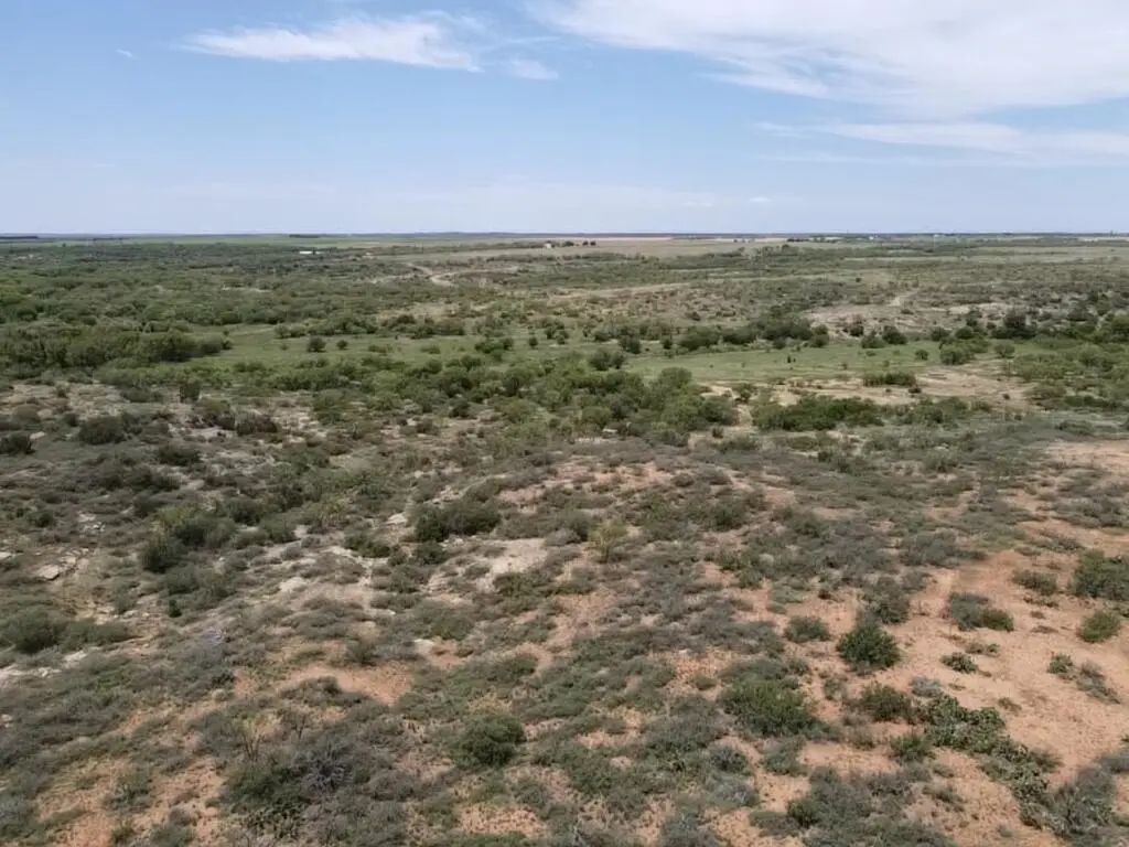02 Fm 2319, Colorado City