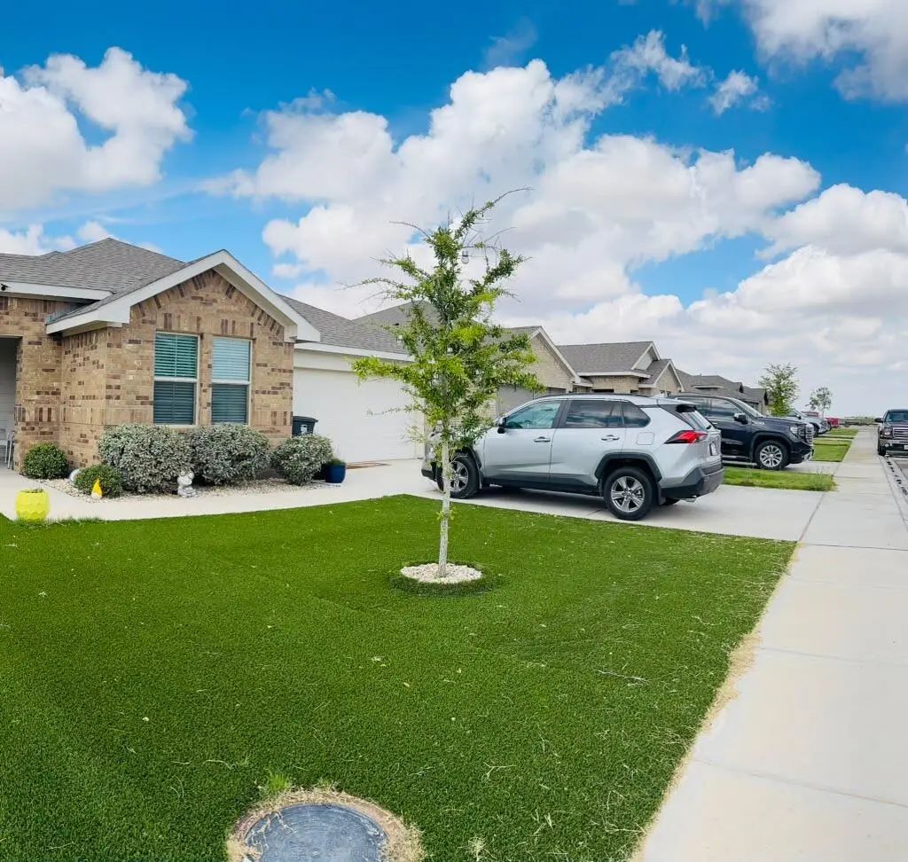 7717 Purple Vitex, Odessa