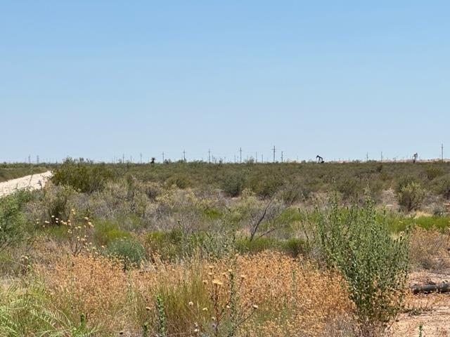Saltgrass St, Odessa