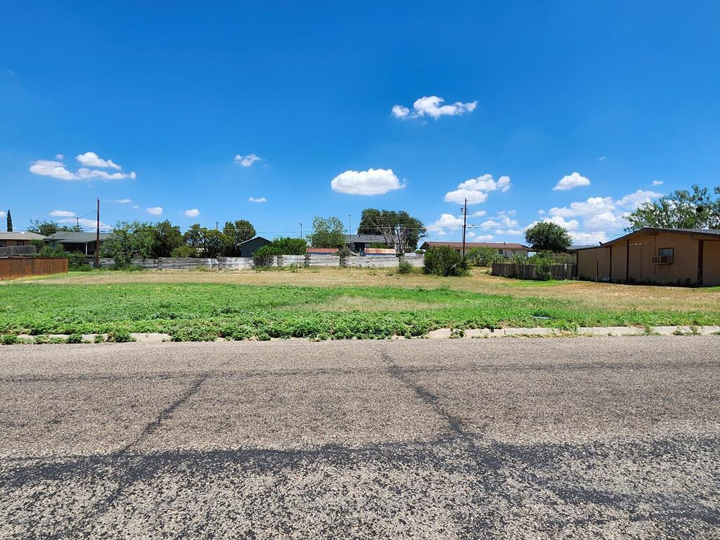 3909 Dixon, Big Spring