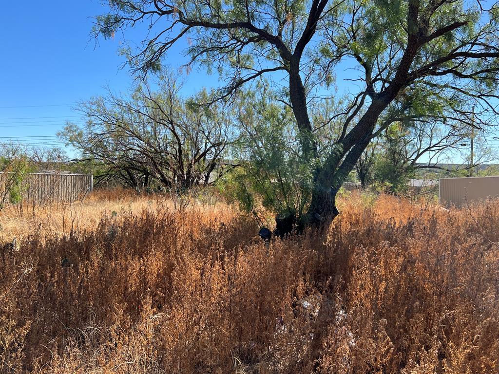 2402 Monticello St, Big Spring