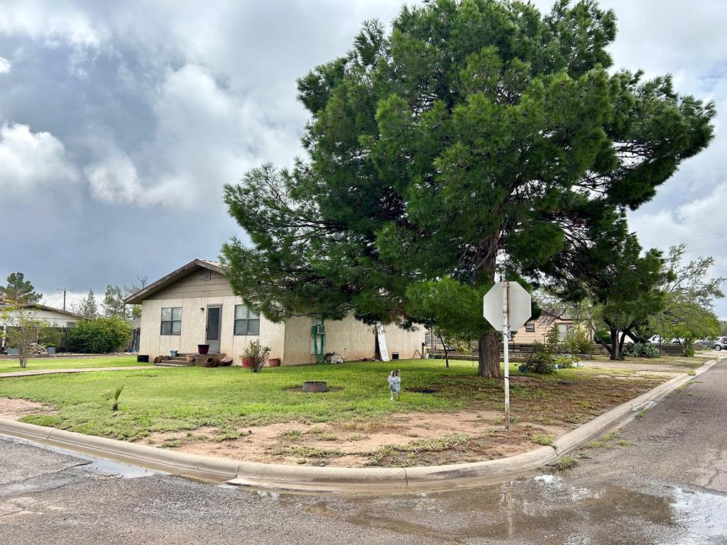 809 Hornbeck, Fort Stockton