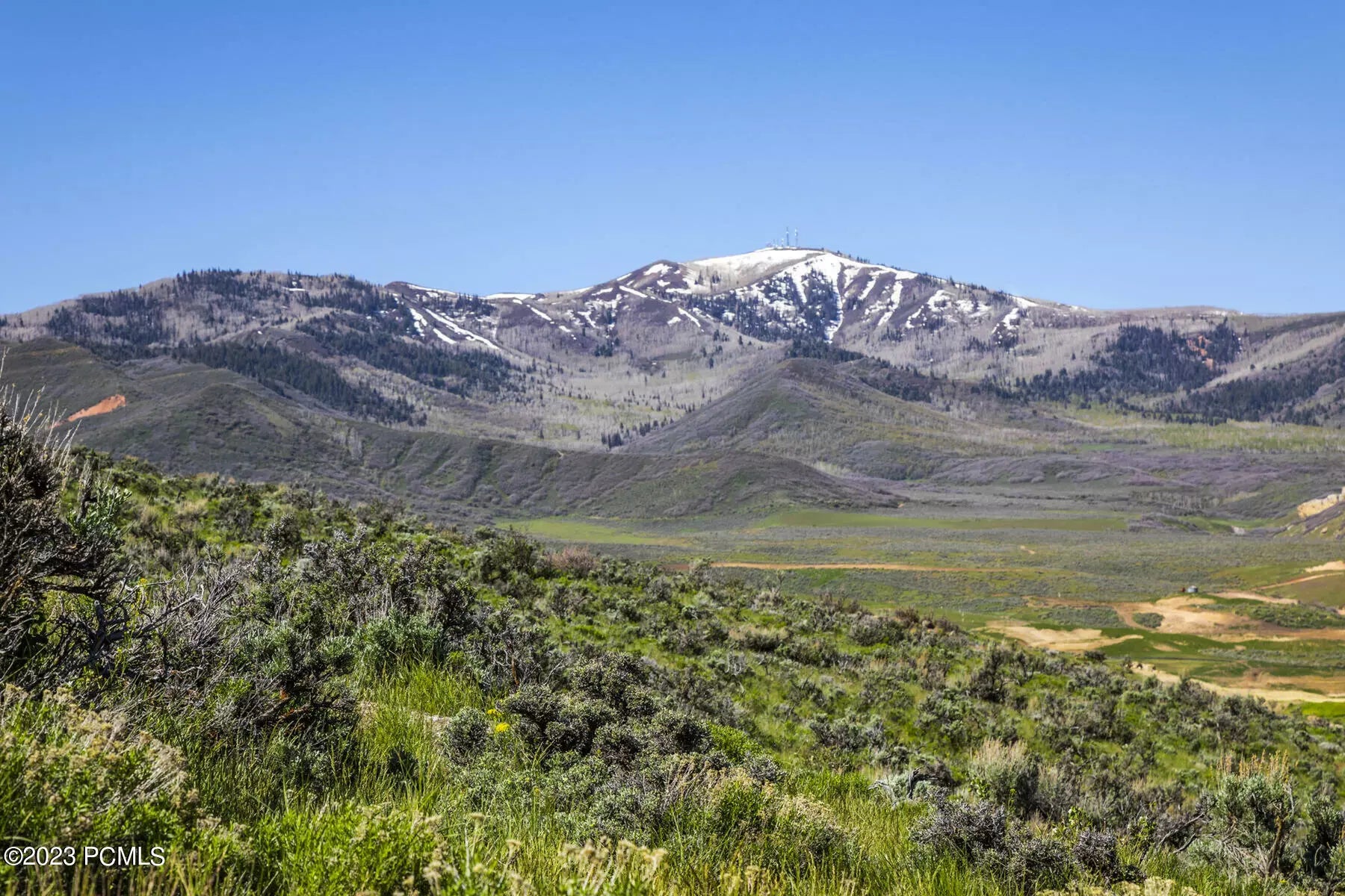 Photo of Listing #12300921