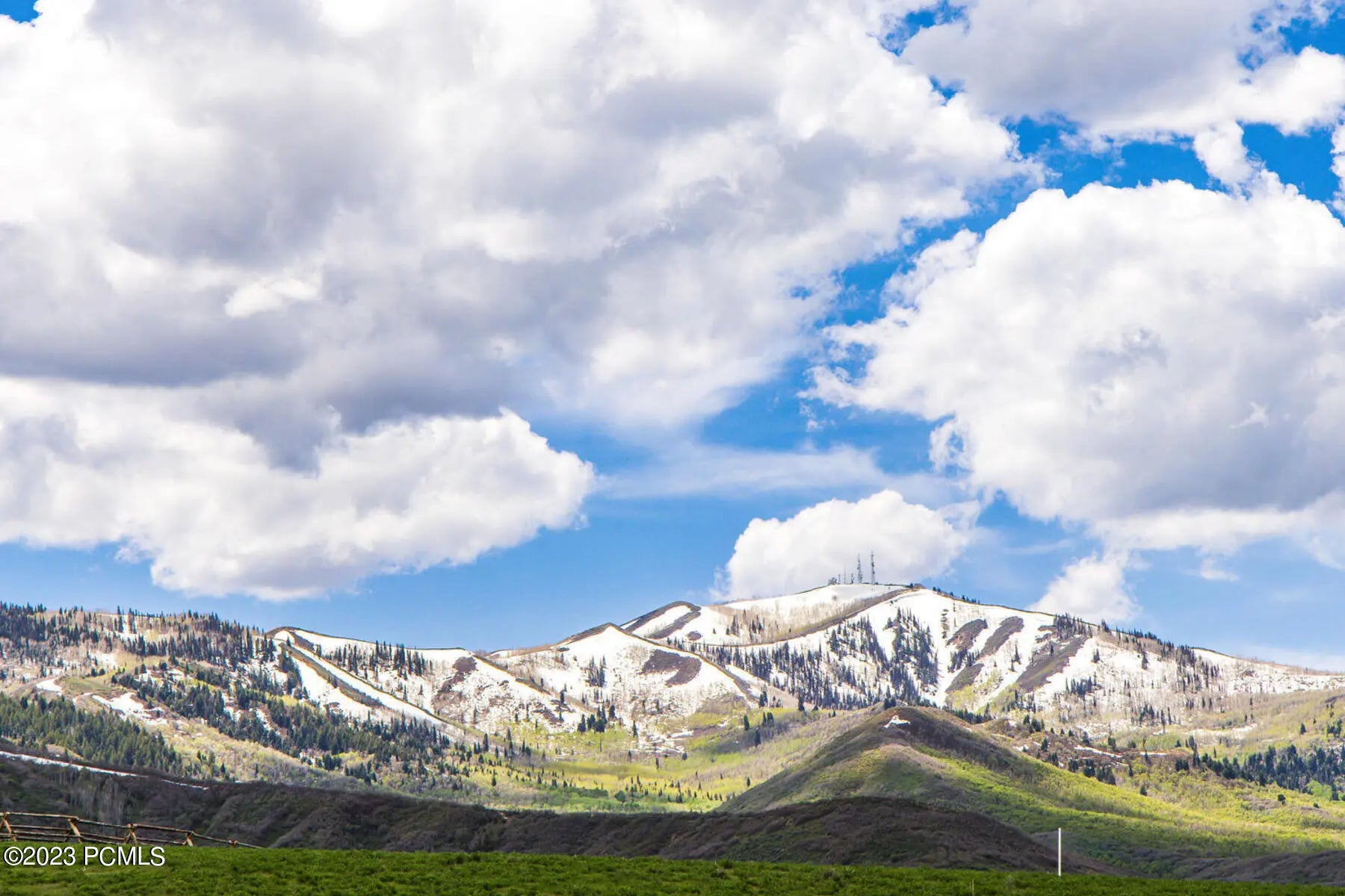 Photo of Listing #12304418