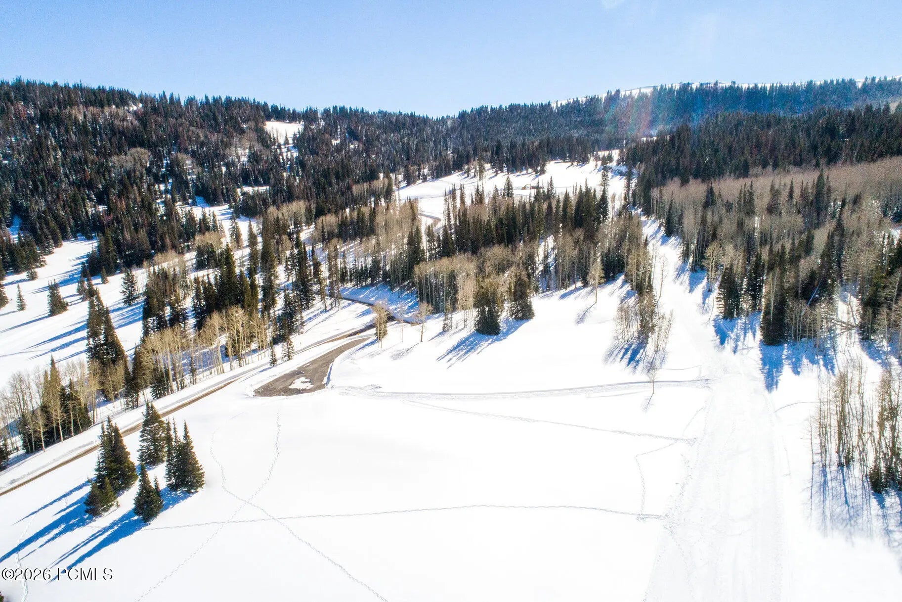 Photo of Listing #12502557