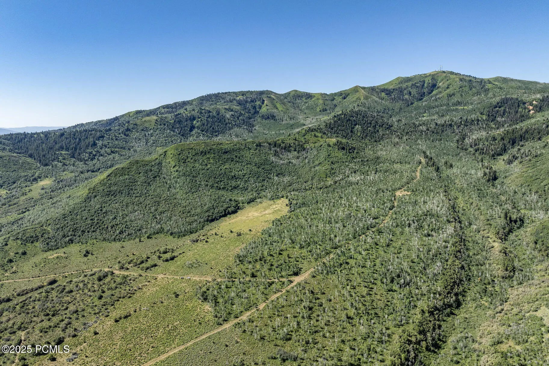 Photo of Listing #12402836