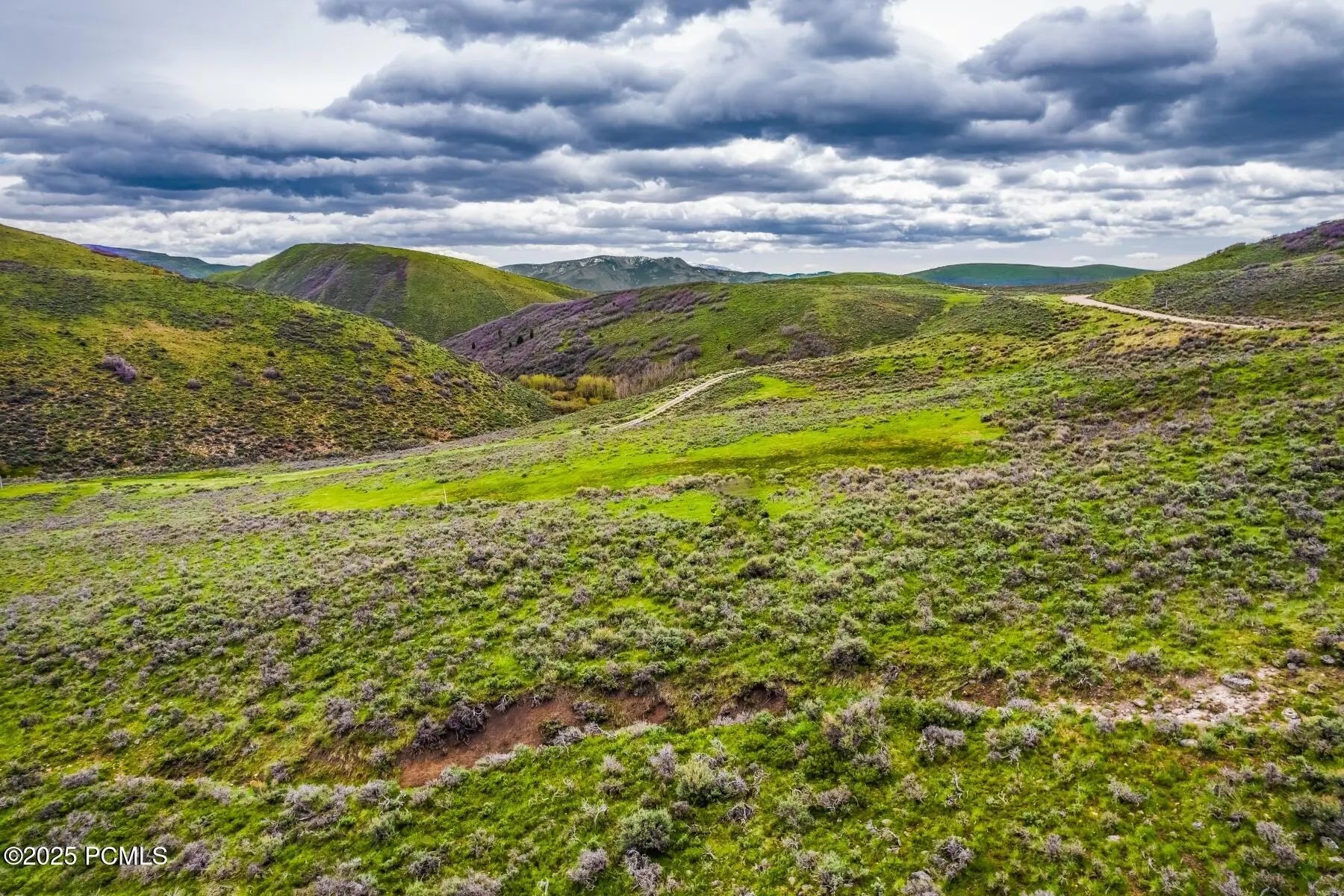 Photo of Listing #12500237