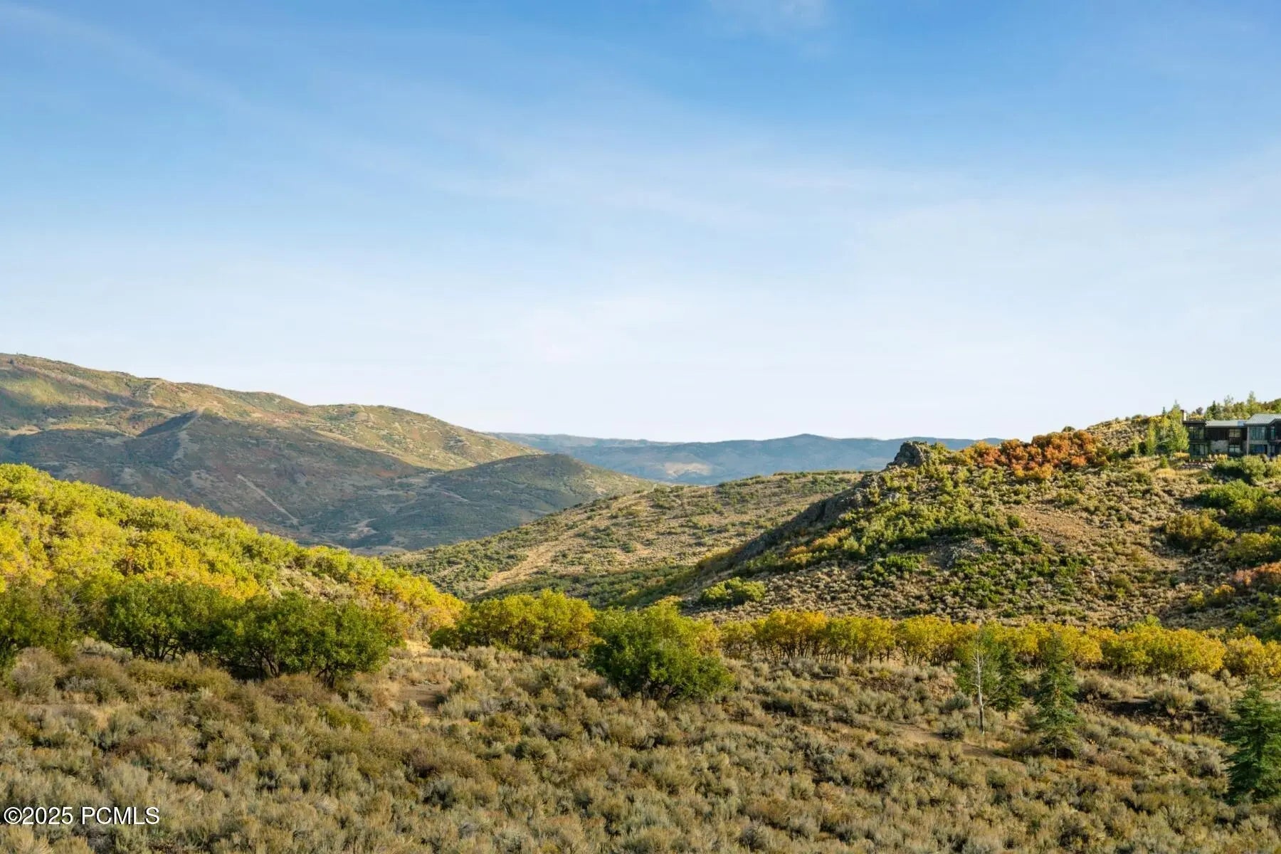 Photo of Listing #12500302