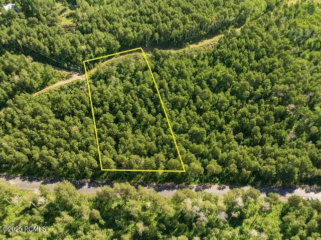 Photo of Listing #12503139