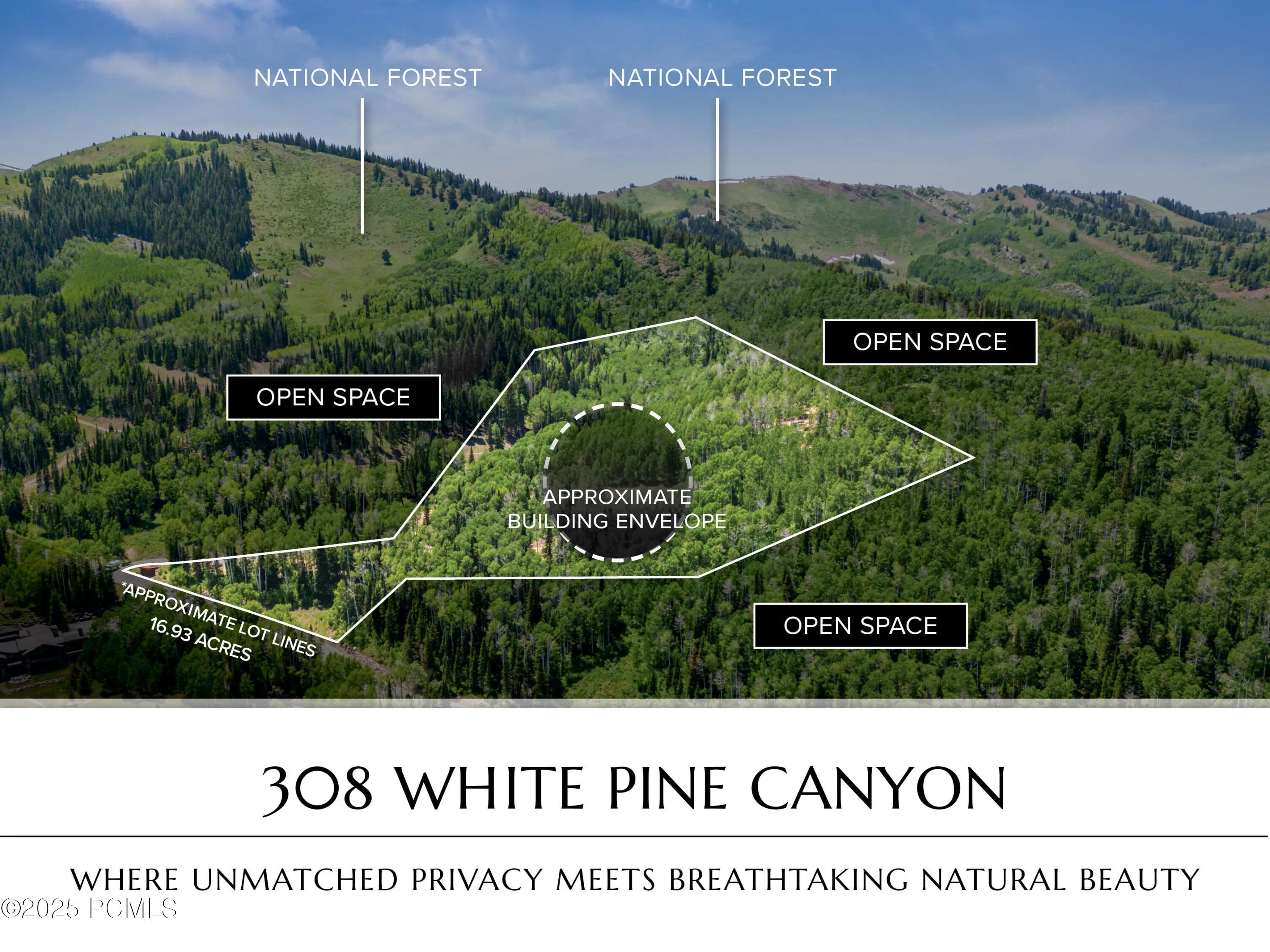 Photo of Listing #12502866