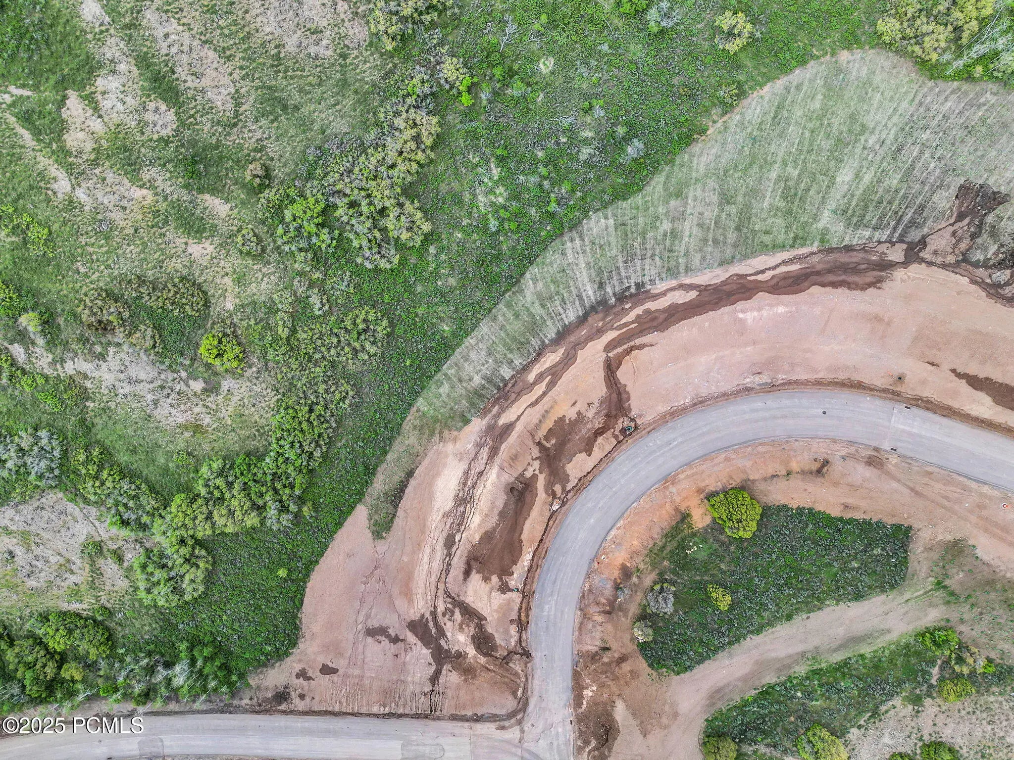 Photo of Listing #12501656