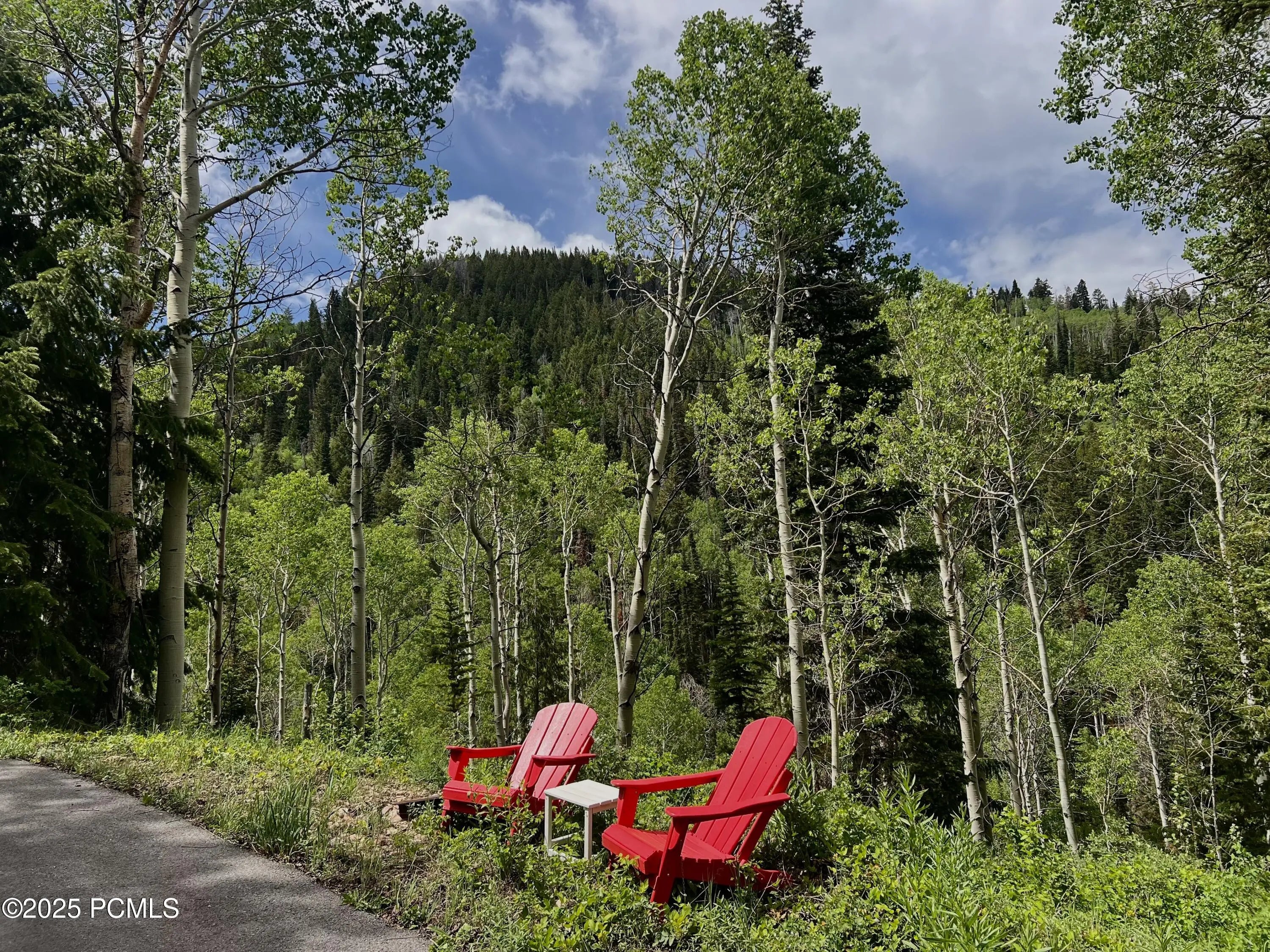 Photo of Listing #12501953