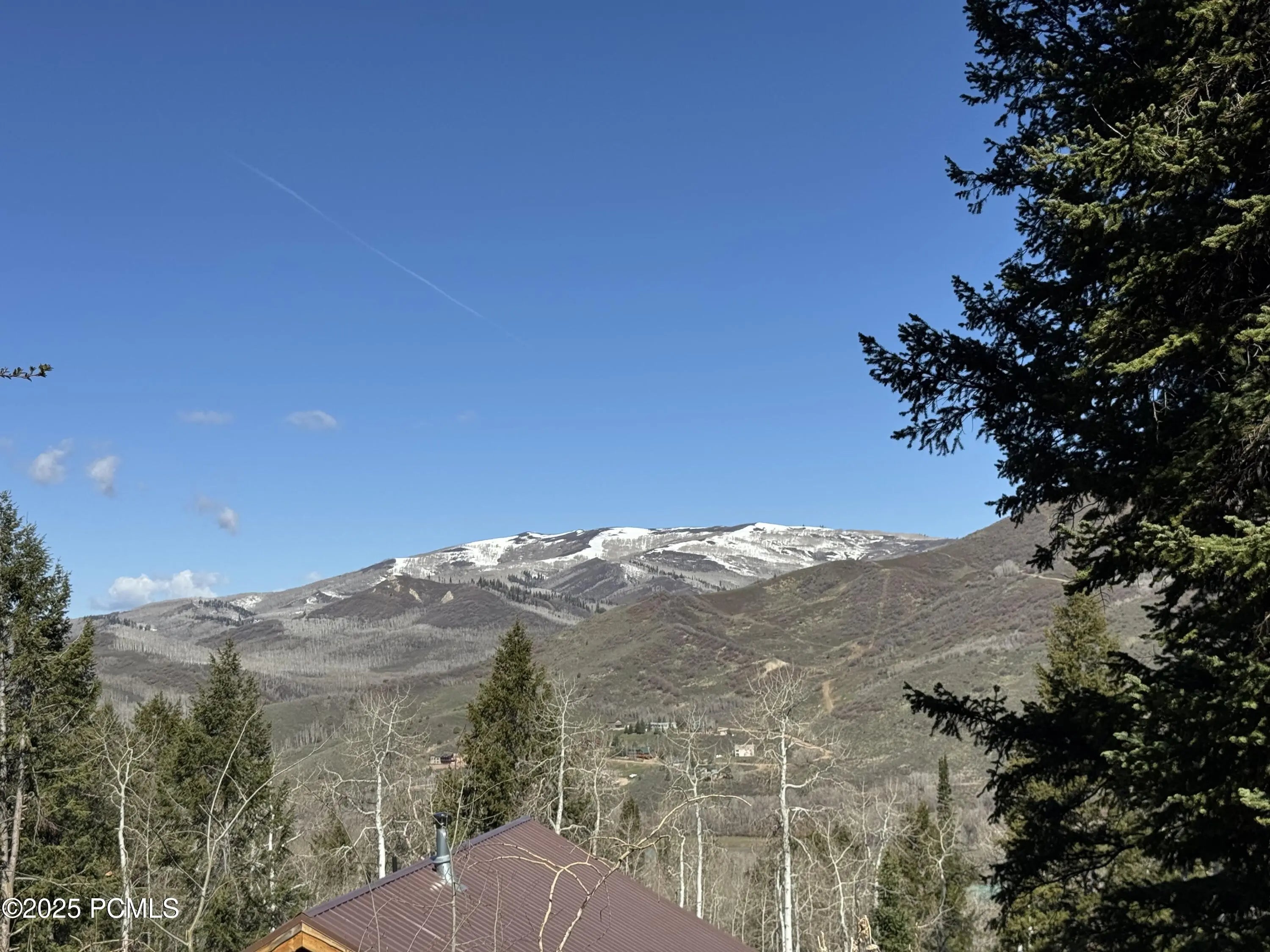 Photo of Listing #12502059