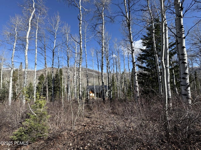 663 Red Fir Way, Oakley