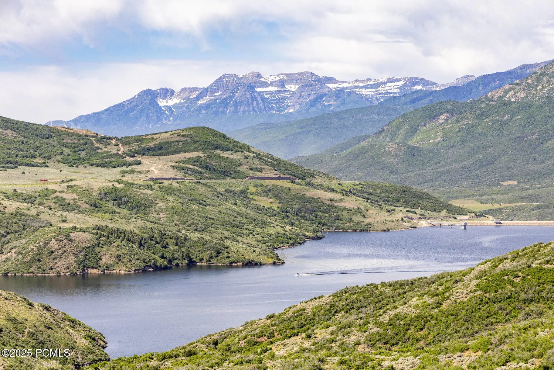 Photo of Listing #12502796