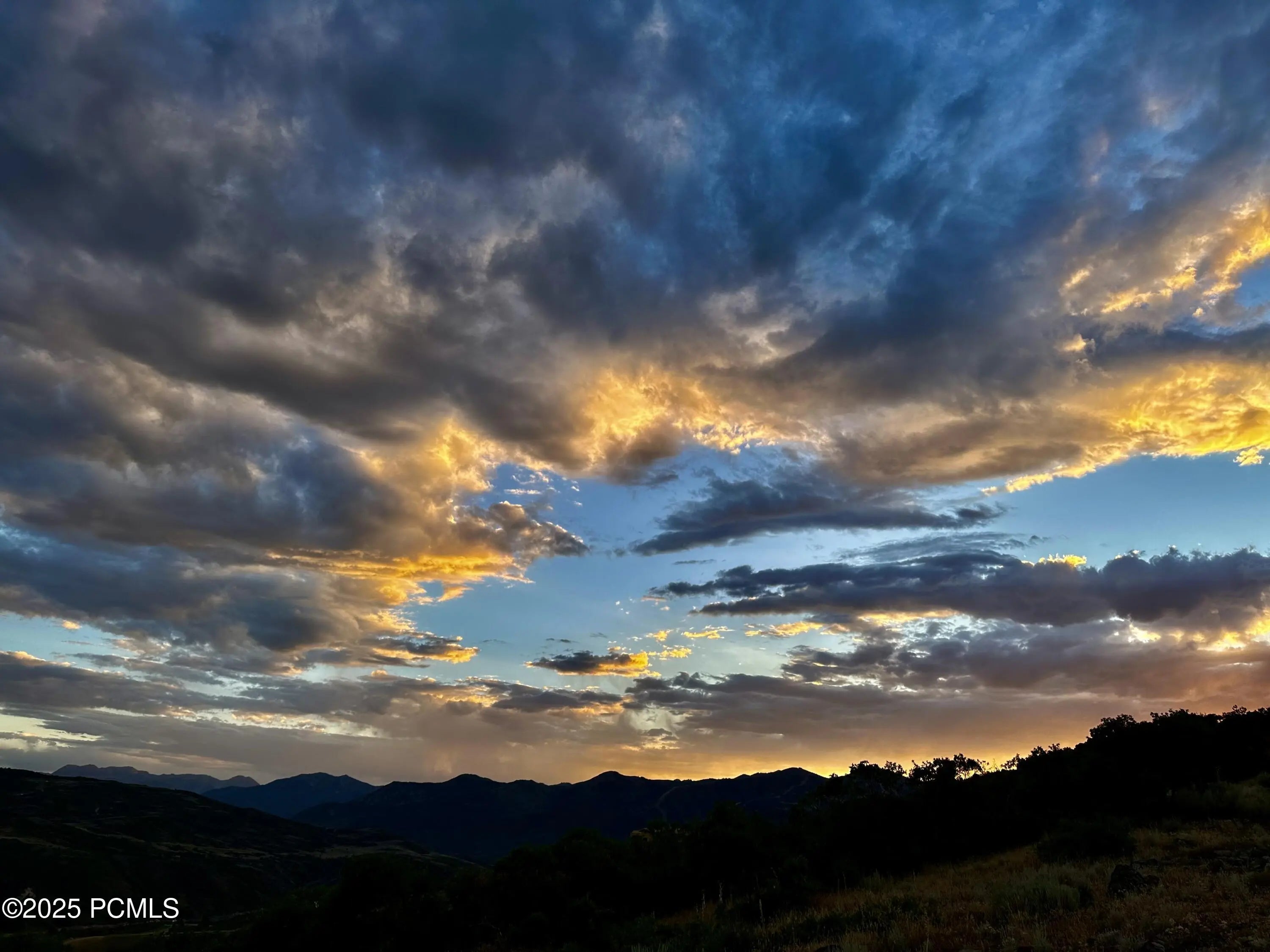 Photo of Listing #12502871