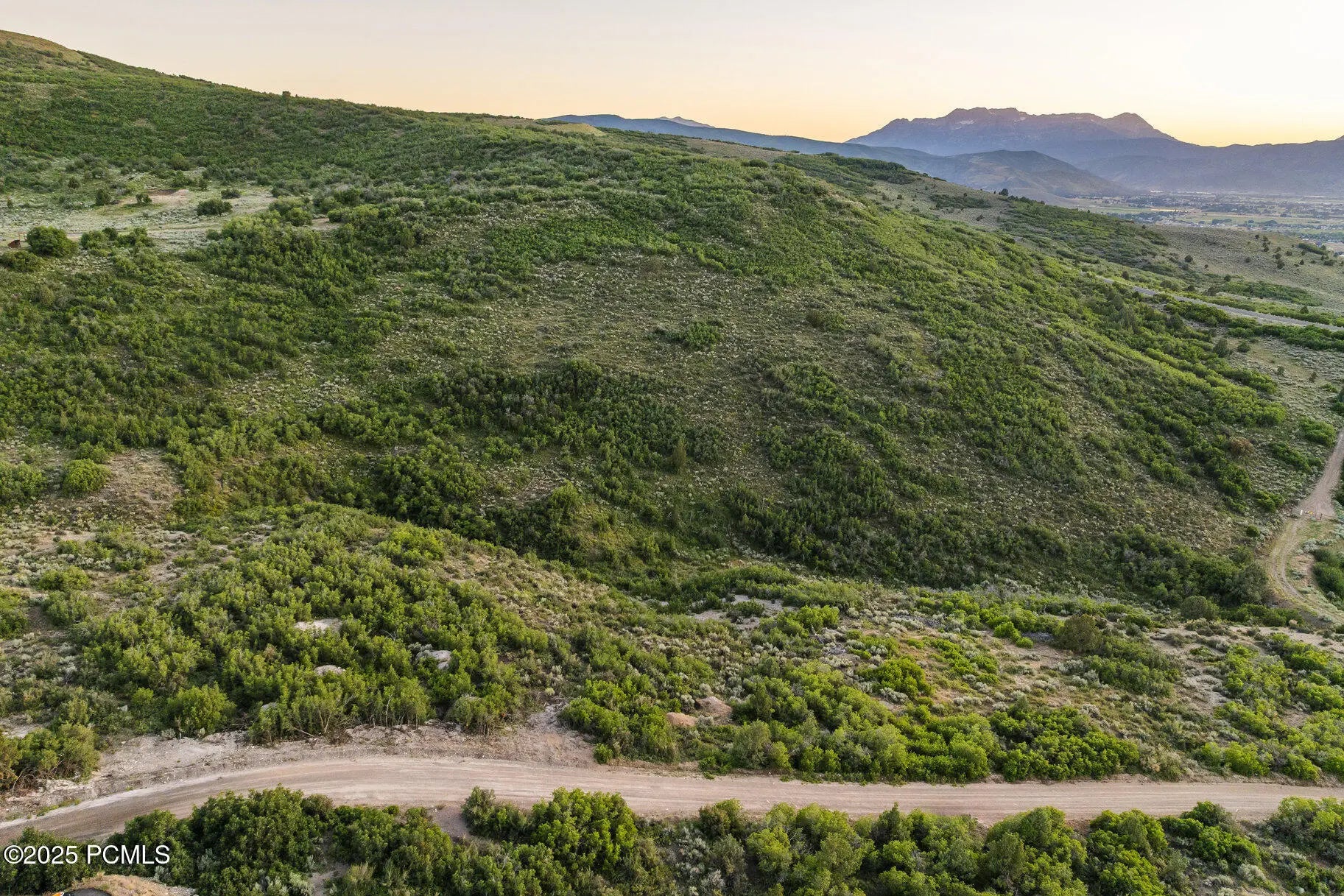 Photo of Listing #12504020