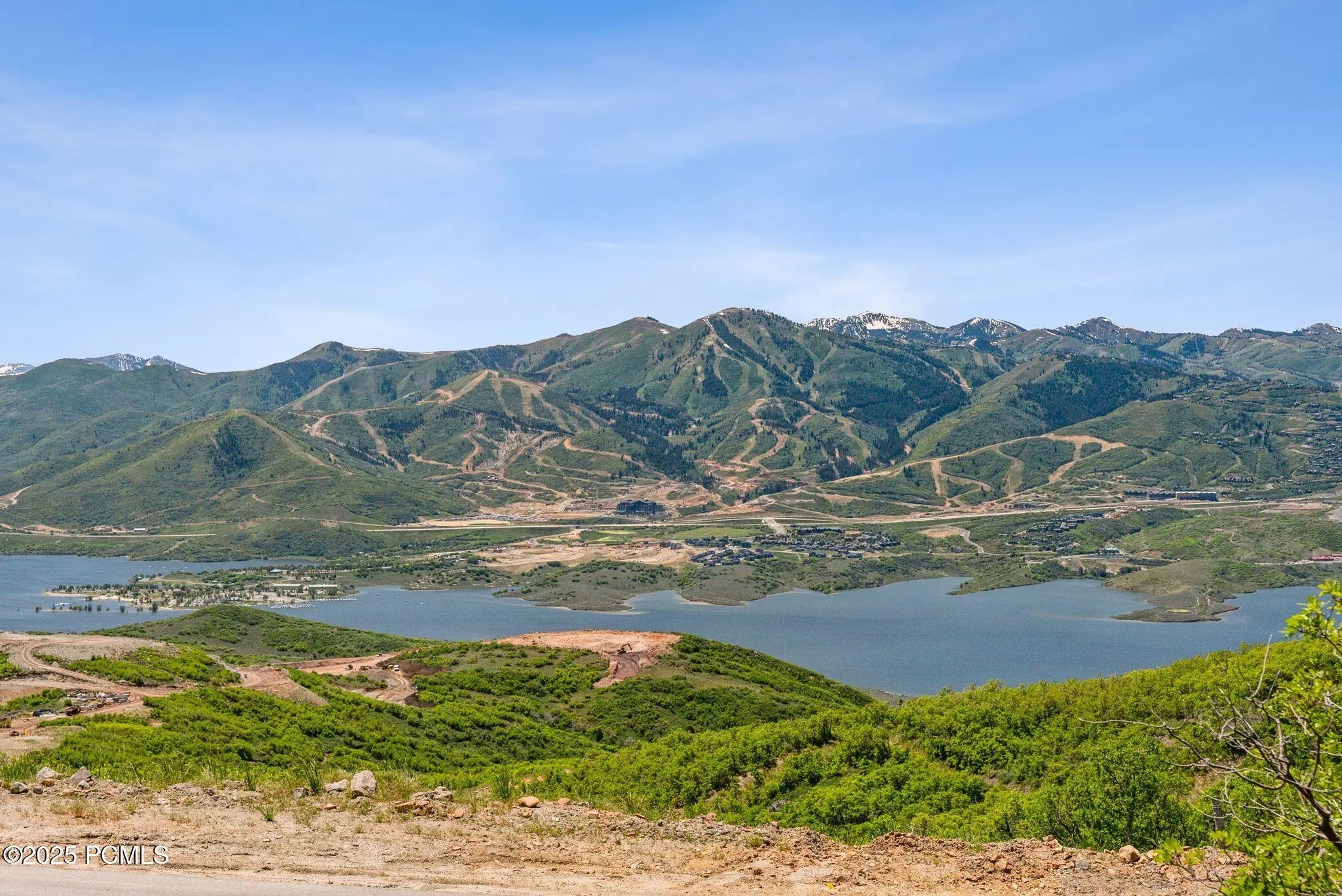 Photo of Listing #12502940