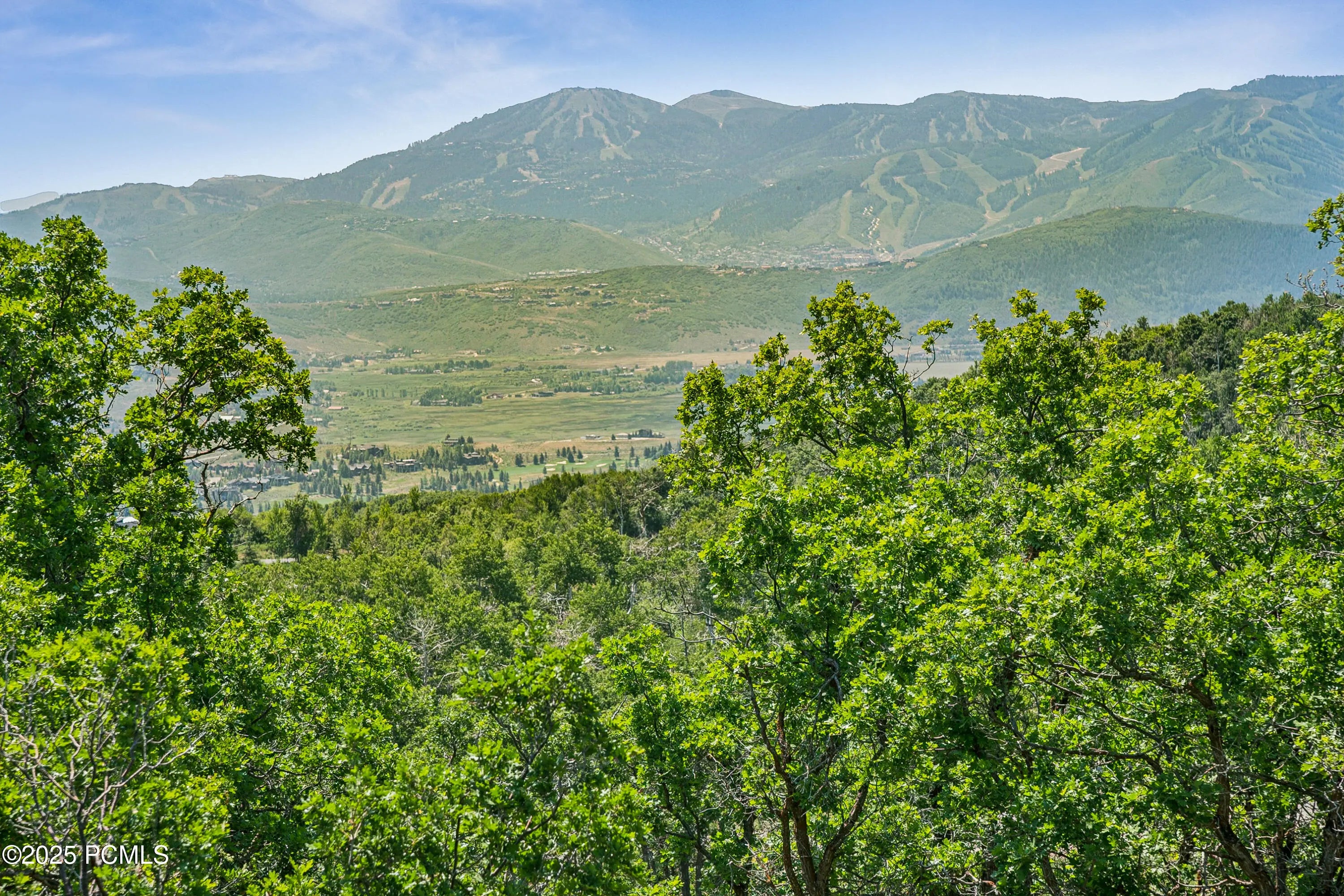 Photo of Listing #12502971