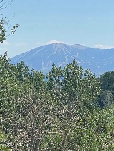 2684 S Forest Meadow Road, Coalville