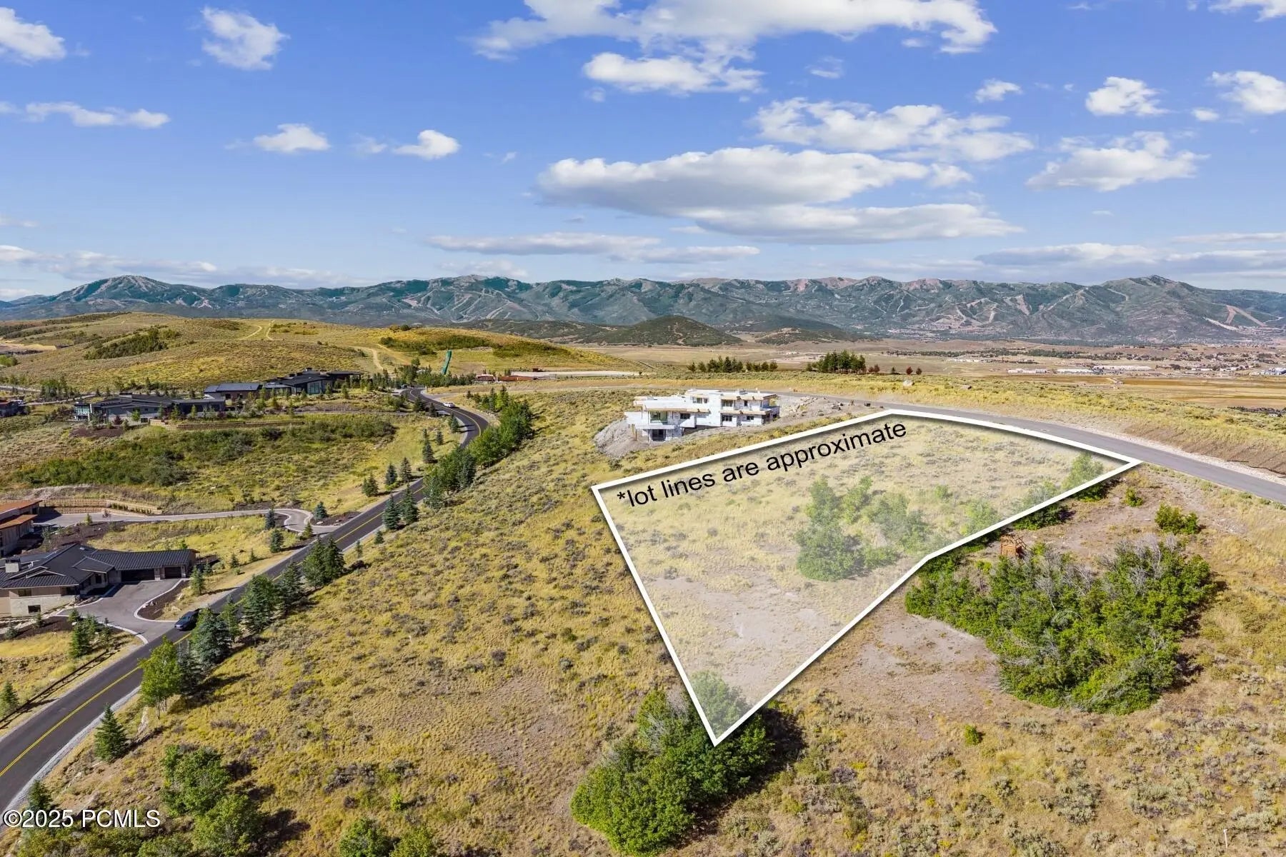 Photo of Listing #12503696